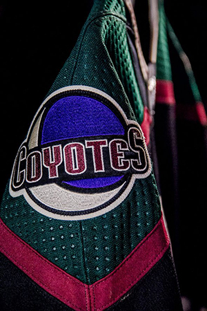 Kachina logo, why didn't we keep this as our primary logo? : r/Coyotes