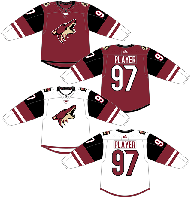 coyotes sweater